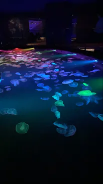 すみだ水族館に投稿された画像（2021/8/28）