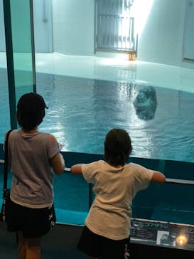 大分マリーンパレス水族館 「うみたまご」に投稿された画像（2021/8/28）