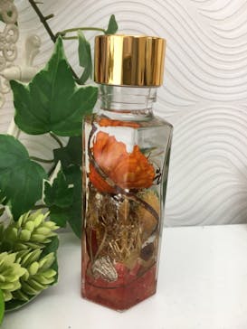 ずこうしつ〜sugamo〜に投稿された画像（2021/8/28）