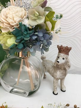 ずこうしつ〜sugamo〜に投稿された画像（2021/8/28）