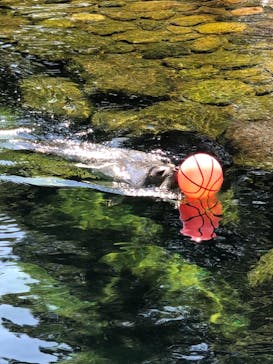 箱根園水族館に投稿された画像（2021/8/28）