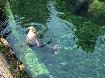 箱根園水族館に投稿された画像（2021/8/28）