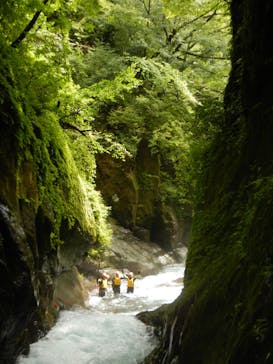 Nikko Jumbo（日光ジャンボ）に投稿された画像（2021/8/28）