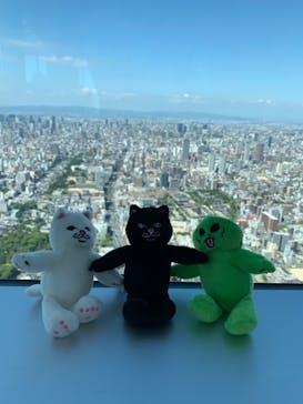 ハルカス300(展望台)に投稿された画像（2021/8/28）