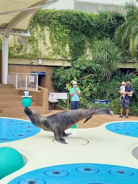 サンシャイン水族館に投稿された画像（2021/8/28）