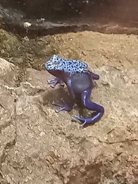 サンシャイン水族館に投稿された画像（2021/8/28）