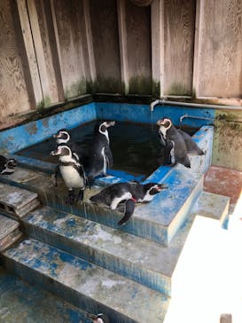 南知多ビーチランド＆南知多おもちゃ王国に投稿された画像（2021/8/28）