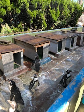 南知多ビーチランド＆南知多おもちゃ王国に投稿された画像（2021/8/28）