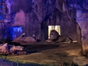 天王寺動物園に投稿された画像（2021/8/28）