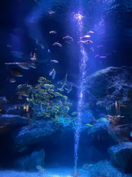すみだ水族館に投稿された画像（2021/8/28）