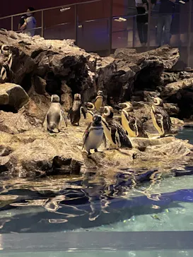 すみだ水族館に投稿された画像（2021/8/28）