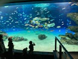 サンシャイン水族館に投稿された画像（2021/8/28）