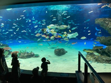 サンシャイン水族館に投稿された画像（2021/8/28）