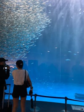 名古屋港水族館に投稿された画像（2021/8/28）