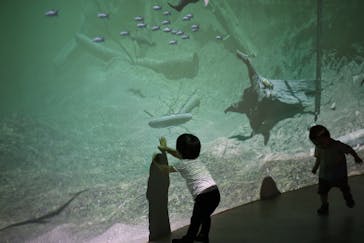 カワスイ 川崎⽔族館に投稿された画像（2021/8/8）