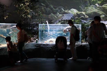 カワスイ 川崎⽔族館に投稿された画像（2021/8/8）