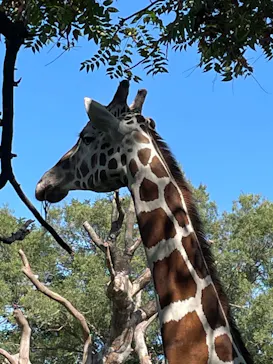 天王寺動物園に投稿された画像（2021/8/28）