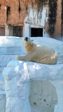 天王寺動物園に投稿された画像（2021/8/28）