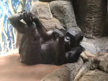 天王寺動物園に投稿された画像（2021/8/28）