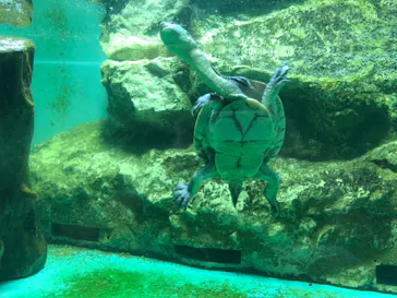 天王寺動物園に投稿された画像（2021/8/28）