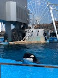 名古屋港水族館に投稿された画像（2021/8/28）