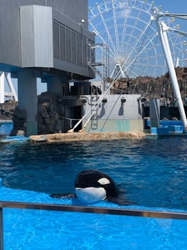 名古屋港水族館に投稿された画像（2021/8/28）