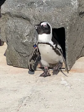横浜・八景島シーパラダイスに投稿された画像（2021/8/28）