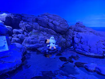 横浜・八景島シーパラダイスに投稿された画像（2021/8/28）