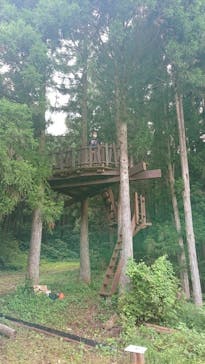 東京・森と市庭に投稿された画像（2021/8/28）