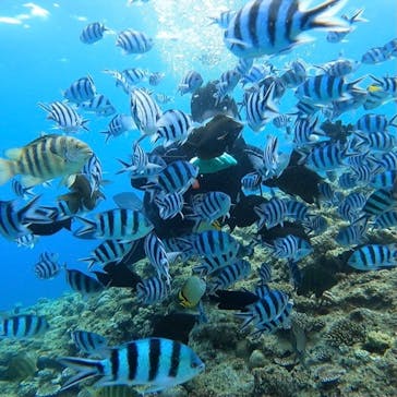 青の洞窟専門店　沖縄ダイビングショップ和に投稿された画像（2021/8/28）