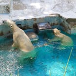 天王寺動物園に投稿された画像（2021/8/28）