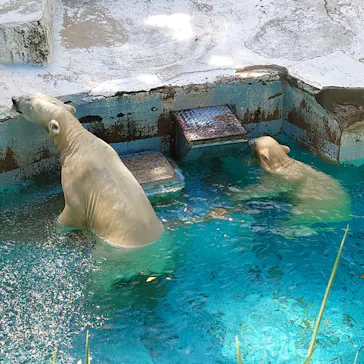 天王寺動物園に投稿された画像（2021/8/28）