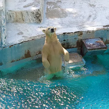 天王寺動物園に投稿された画像（2021/8/28）