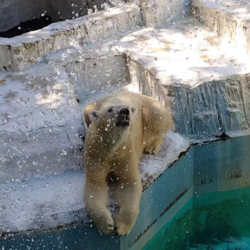 天王寺動物園に投稿された画像（2021/8/28）