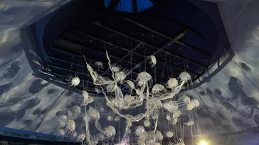 横浜・八景島シーパラダイスに投稿された画像（2021/8/28）