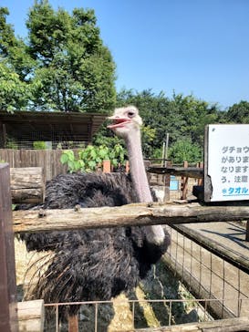 群馬サファリパークに投稿された画像（2021/8/28）