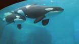 名古屋港水族館に投稿された画像（2021/8/28）