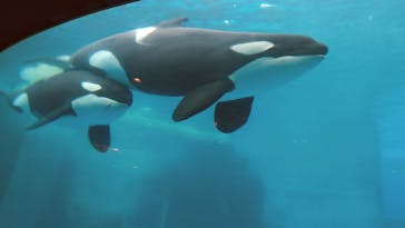 名古屋港水族館に投稿された画像（2021/8/28）