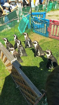 名古屋港水族館に投稿された画像（2021/8/28）