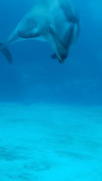 名古屋港水族館に投稿された画像（2021/8/28）