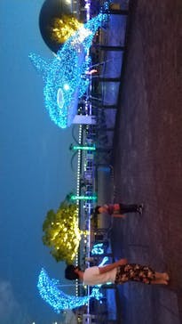 名古屋港水族館に投稿された画像（2021/8/28）