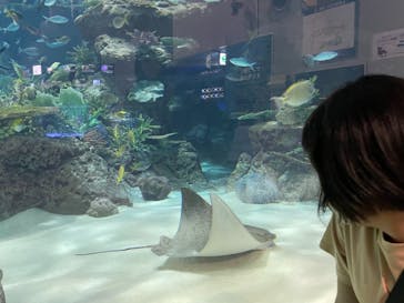 名古屋港水族館に投稿された画像（2021/8/28）