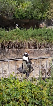 サンシャイン水族館に投稿された画像（2021/8/28）