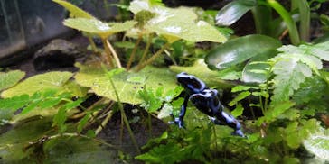 サンシャイン水族館に投稿された画像（2021/8/28）