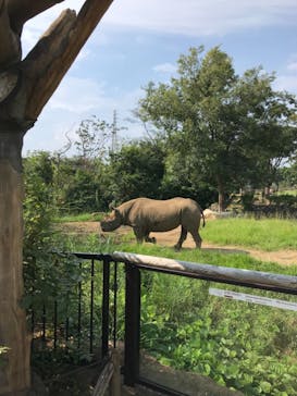 よこはま動物園ズーラシアに投稿された画像（2021/8/28）