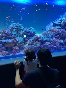 サンシャイン水族館に投稿された画像（2021/8/28）