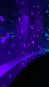 サンシャイン水族館に投稿された画像（2021/8/28）