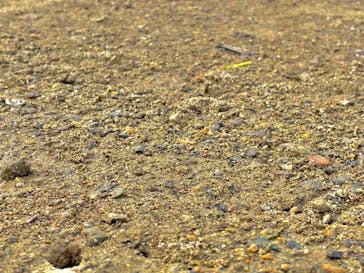 マングローブ茶屋に投稿された画像（2021/8/28）