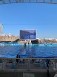 名古屋港水族館に投稿された画像（2021/8/28）