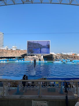 名古屋港水族館に投稿された画像（2021/8/28）